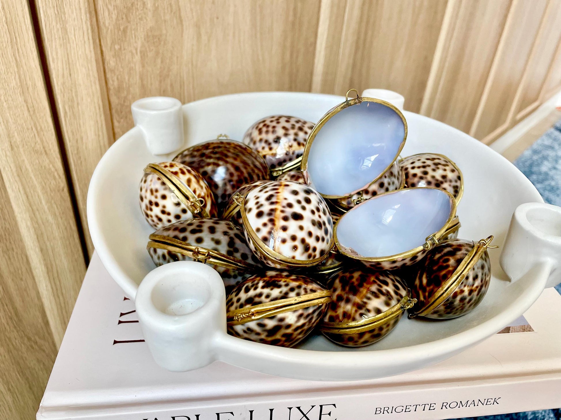 Shell Coin Purse Coastal Gift Box: Cowrie, Clam, Scallop Seashells