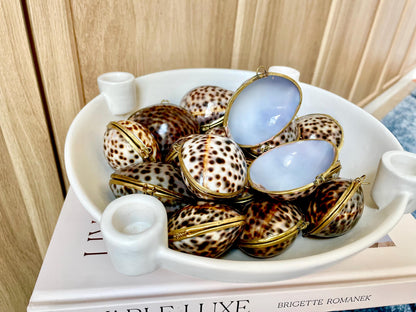 Shell Coin Purse Coastal Gift Box: Cowrie, Clam, Scallop Seashells