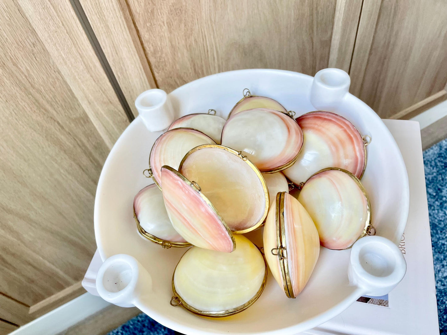 Shell Coin Purse Coastal Gift Box: Cowrie, Clam, Scallop Seashells