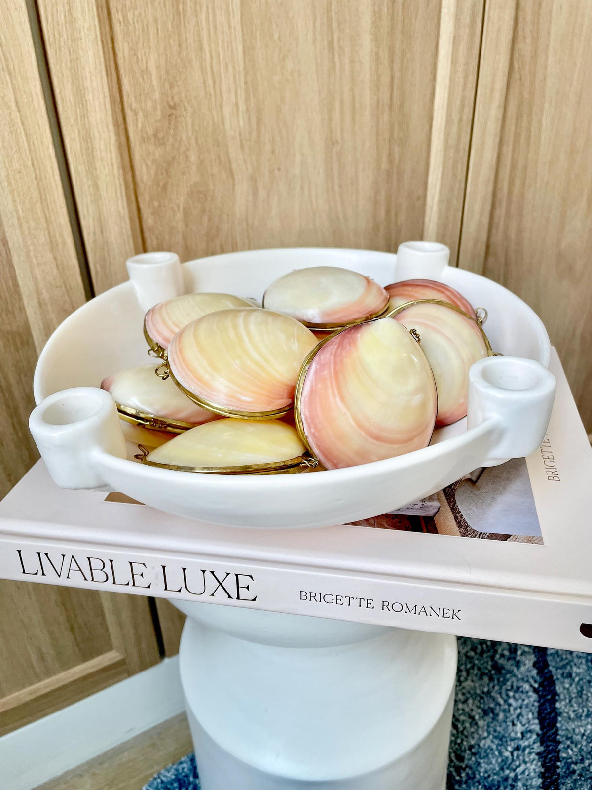 Shell Coin Purse Coastal Gift Box: Cowrie, Clam, Scallop Seashells