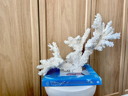Branch Coral Fossil Specimen: 14.5" x 11.5"x 6" Coastal Beach House Décor