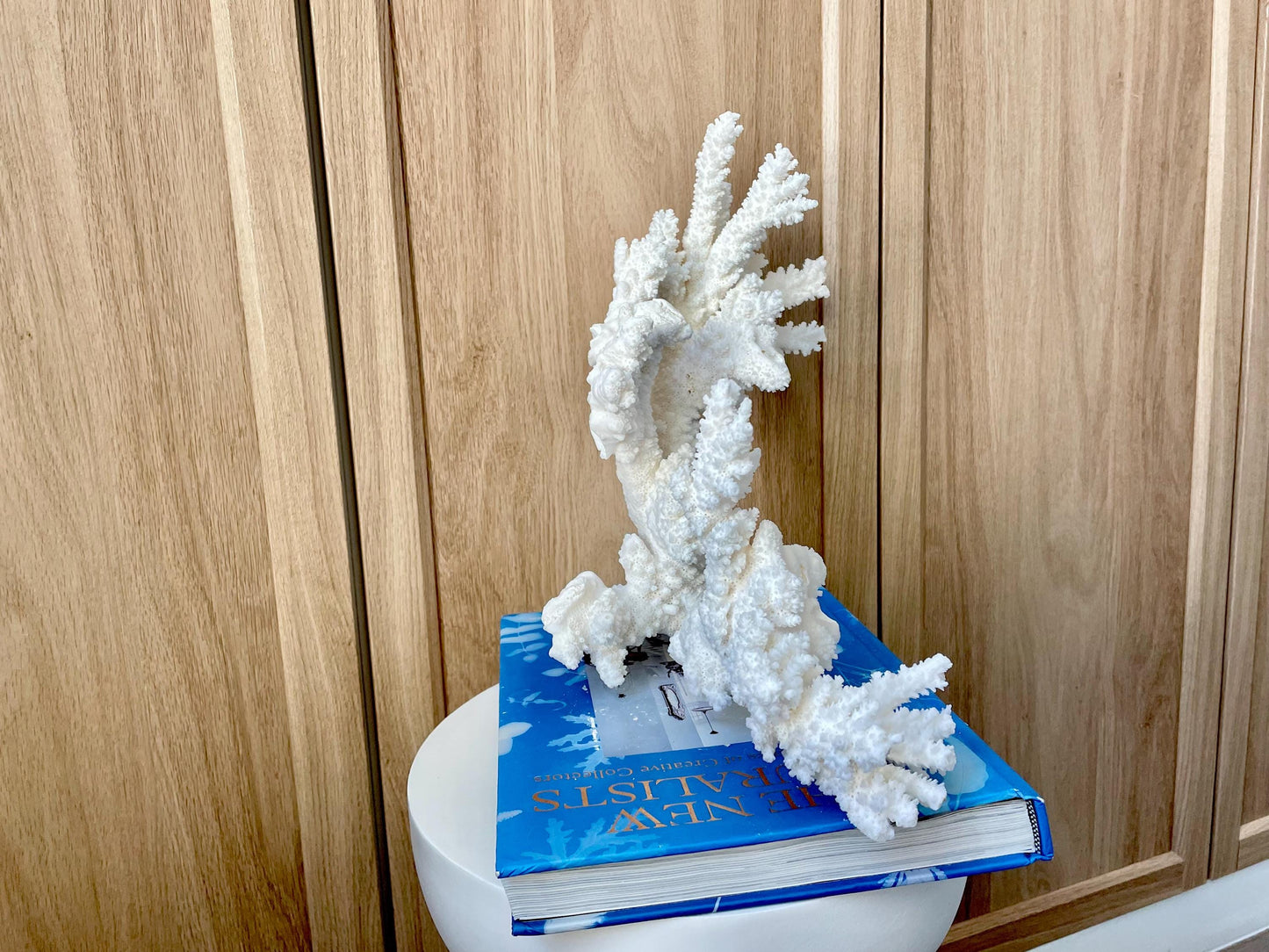 Branch Coral Fossil Specimen: 14.5" x 11.5"x 6" Coastal Beach House Décor