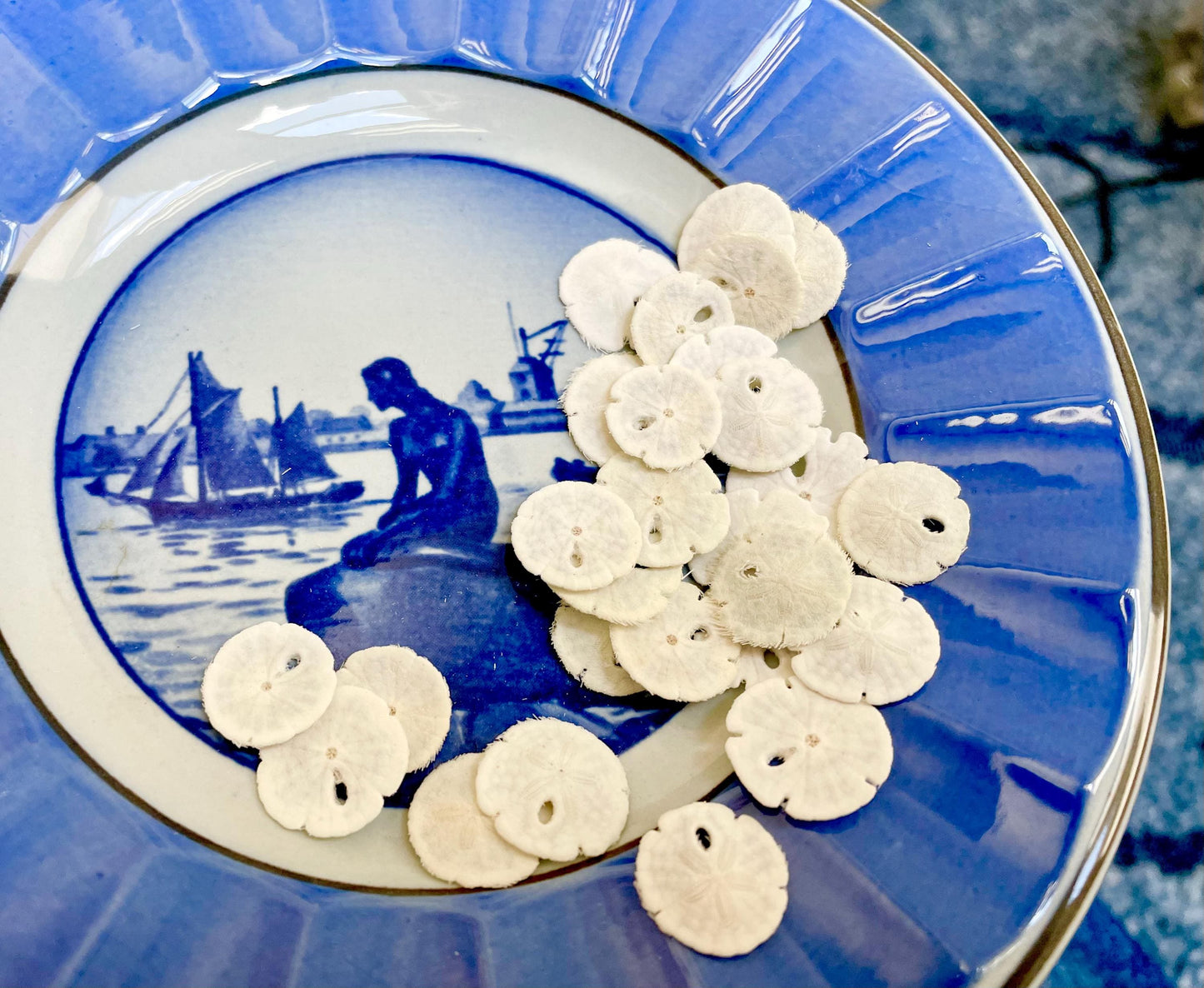 25 Tiny Sand Dollars 15mm, 1.5cm: Beach Wedding Décor, Seashell Crafts