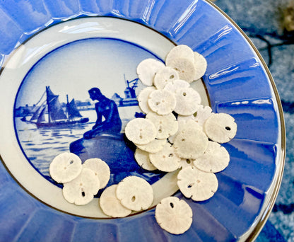 25 Tiny Sand Dollars 15mm, 1.5cm: Beach Wedding Décor, Seashell Crafts