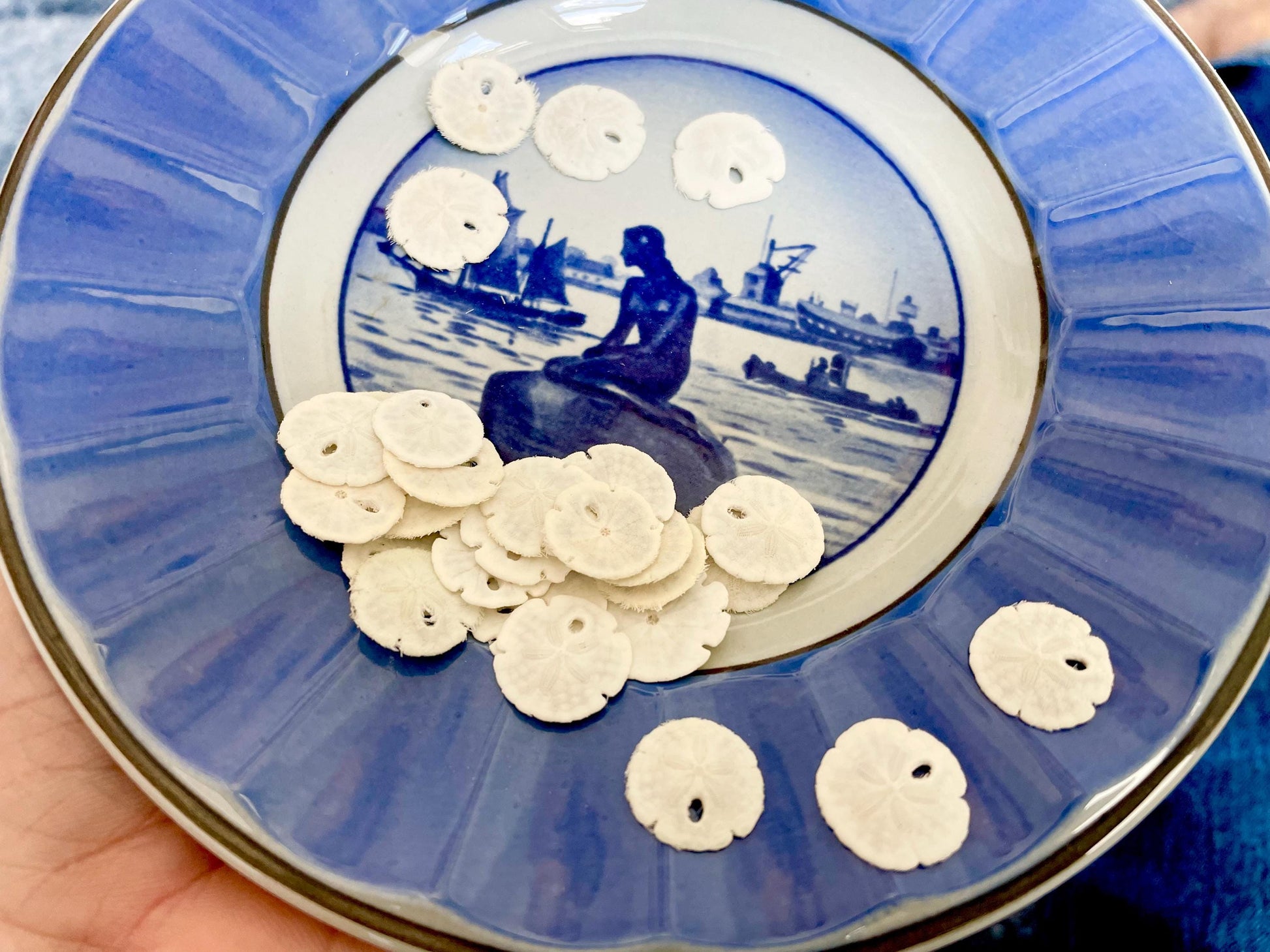 25 Tiny Sand Dollars 15mm, 1.5cm: Beach Wedding Décor, Seashell Crafts