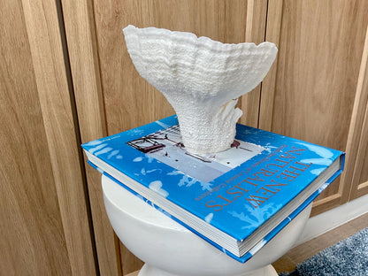 Natural Poca Coral Fossil: 7" x 6" x 6" Coastal Beach House White Décor