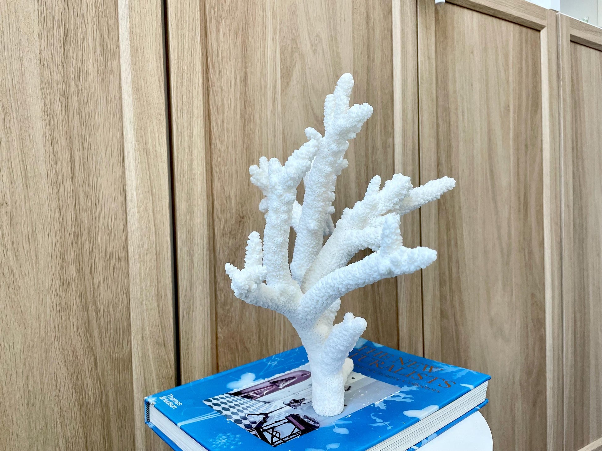 Branch Coral Fossil Specimen: 13" x 11.75"x 8.25" Coastal Beach House Décor