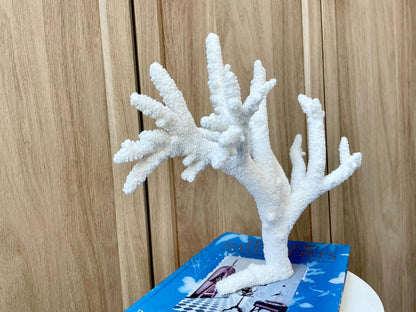 Branch Coral Fossil Specimen: 13" x 11.75"x 8.25" Coastal Beach House Décor