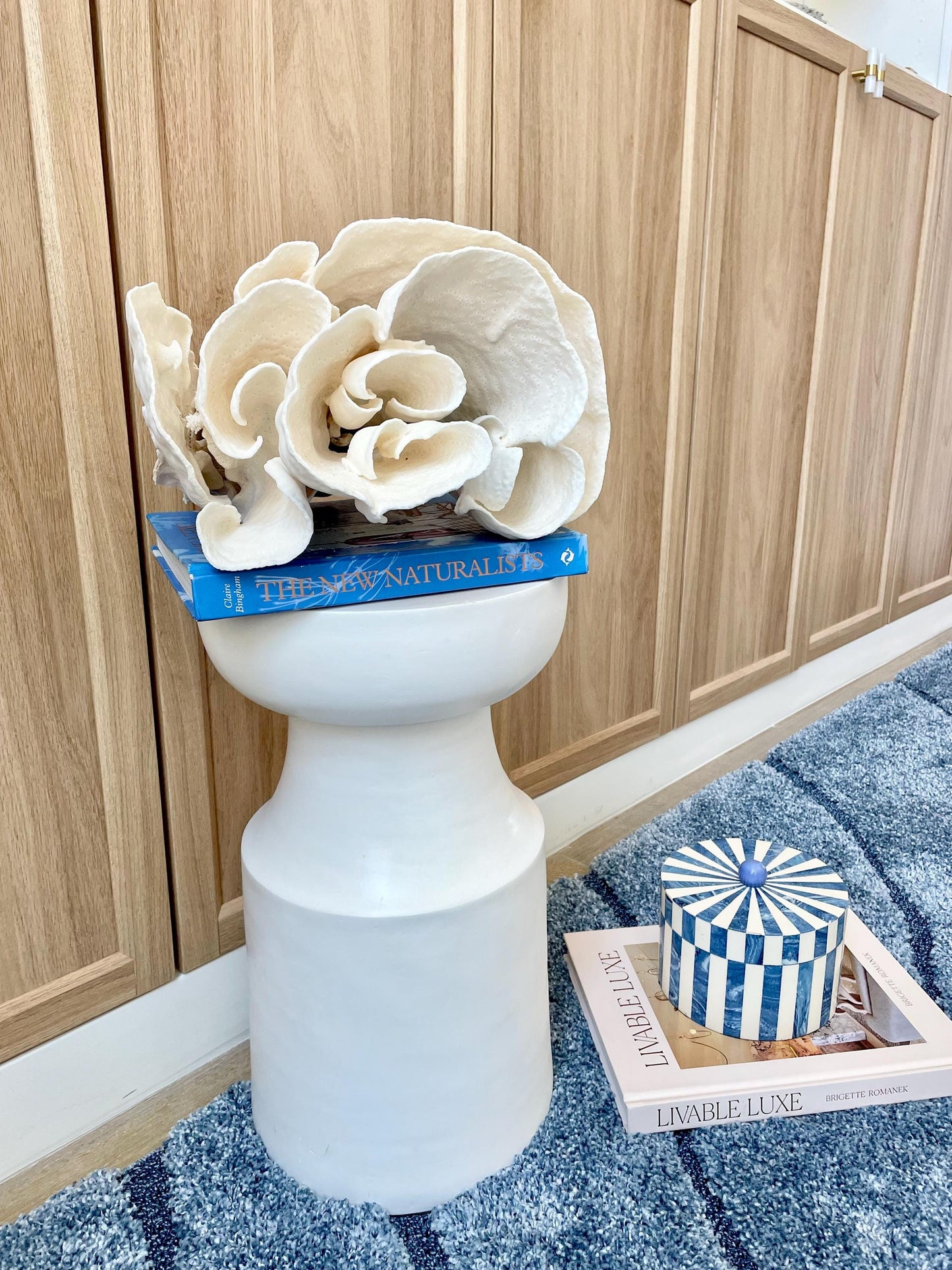 Natural Spiral Cup Coral Fossil: 11.5" x 11" x 8" Coastal Beach House White Décor