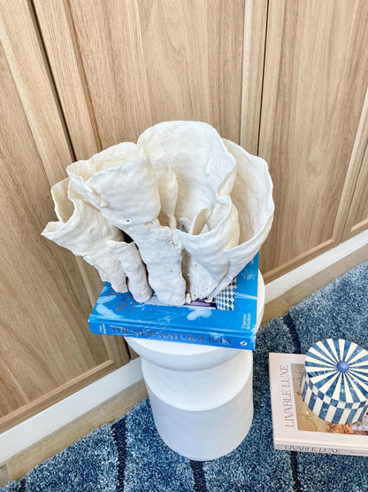 Natural Spiral Cup Coral Fossil: 11.5" x 11" x 8" Coastal Beach House White Décor