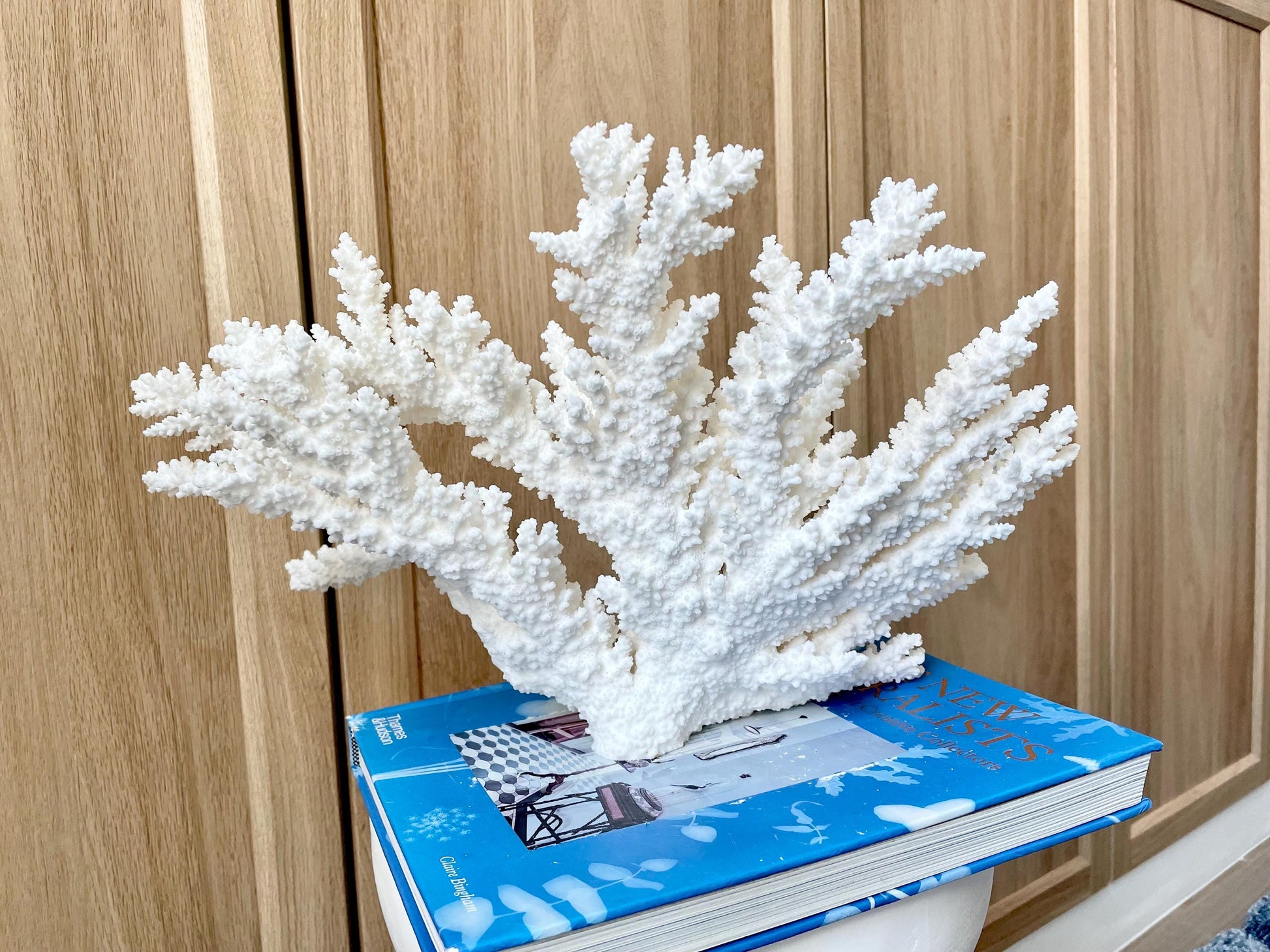 Branch Coral Fossil Specimen: 14.5" x 8.75"x 7" Coastal Beach House Décor