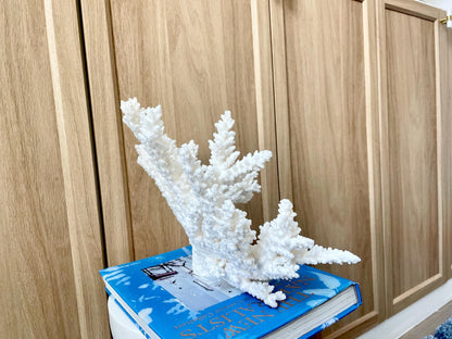 Branch Coral Fossil Specimen: 14.5" x 8.75"x 7" Coastal Beach House Décor