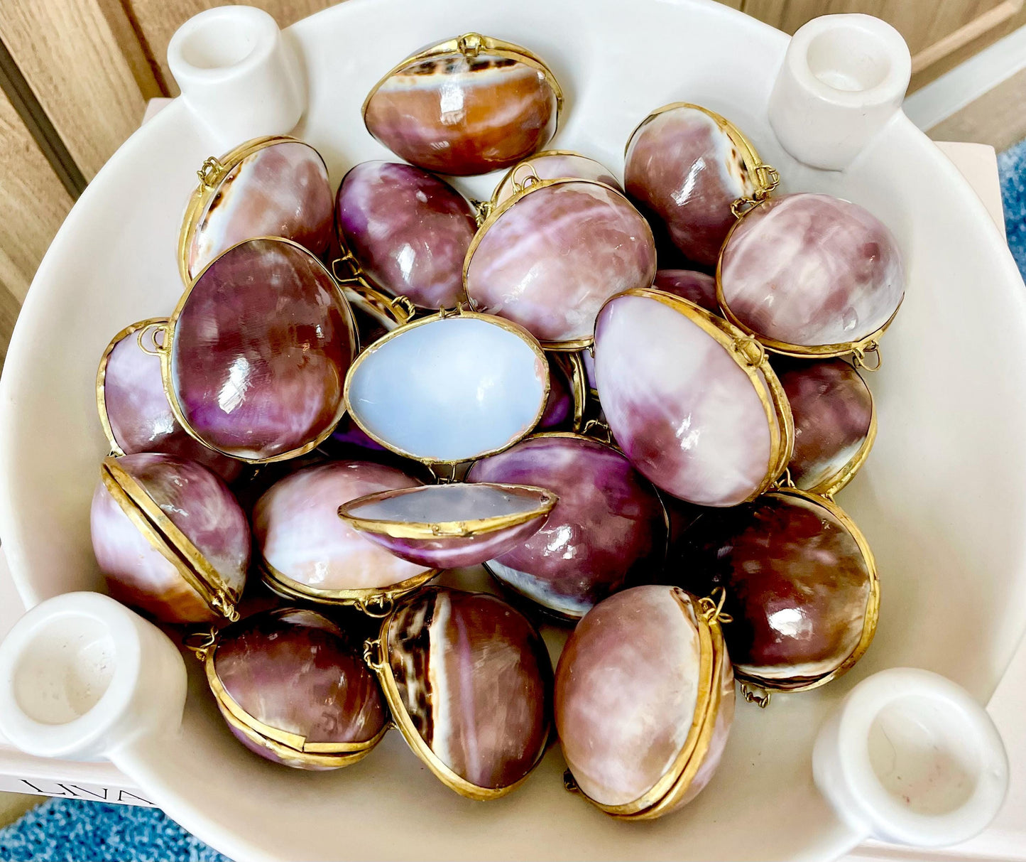 Shell Coin Purse Coastal Gift Box: Cowrie, Clam, Scallop Seashells