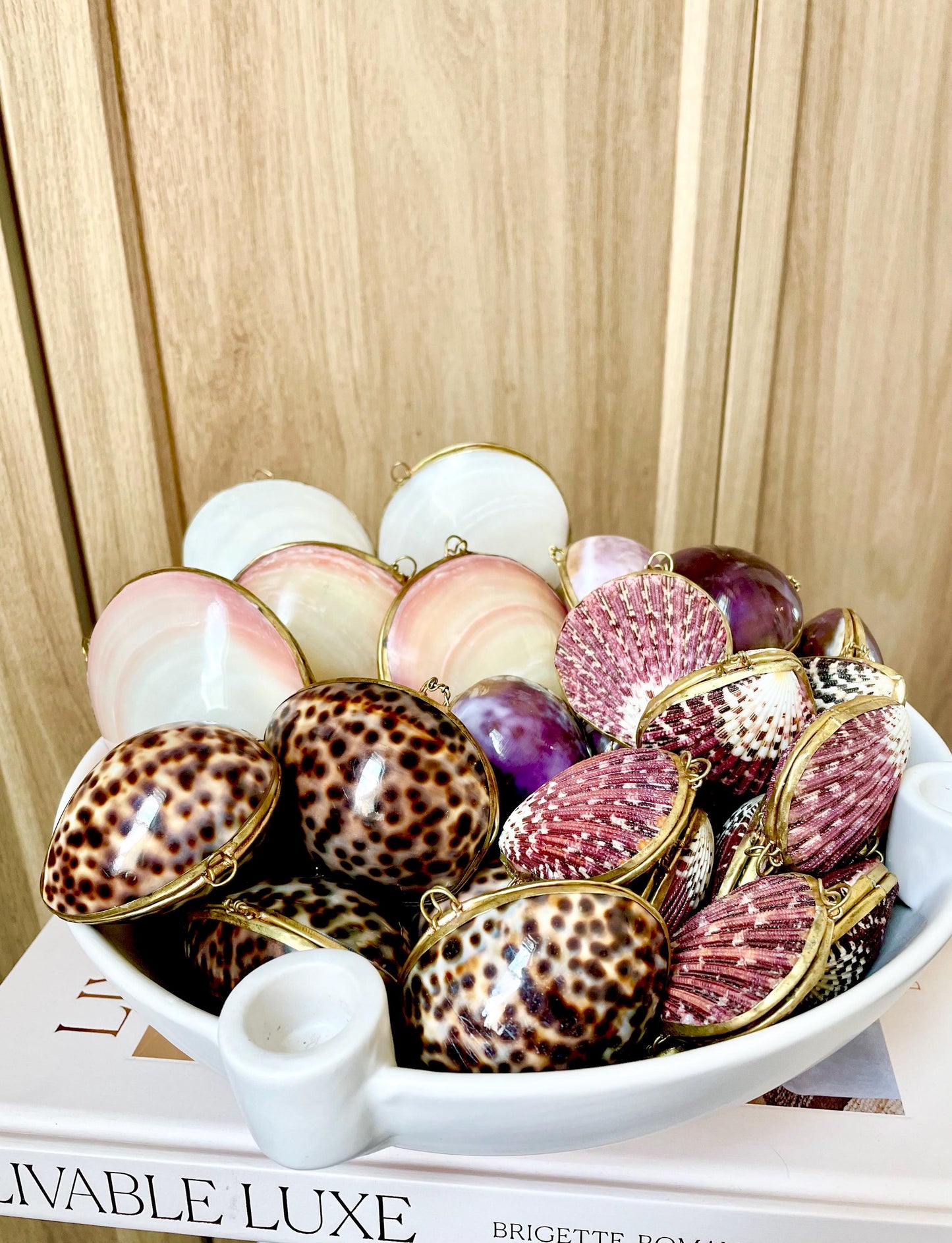 Shell Coin Purse Coastal Gift Box: Cowrie, Clam, Scallop Seashells