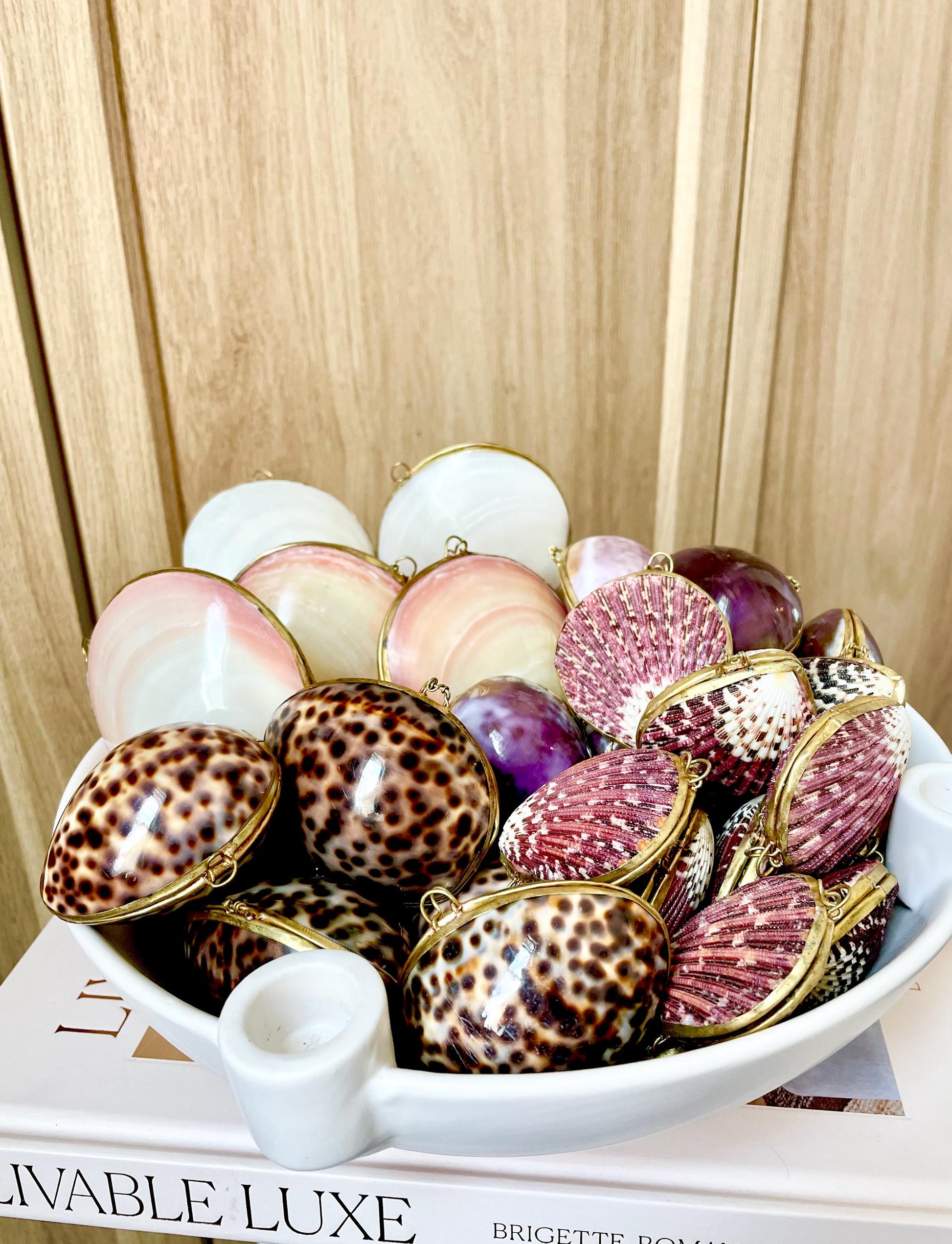 Shell Coin Purse Coastal Gift Box: Cowrie, Clam, Scallop Seashells