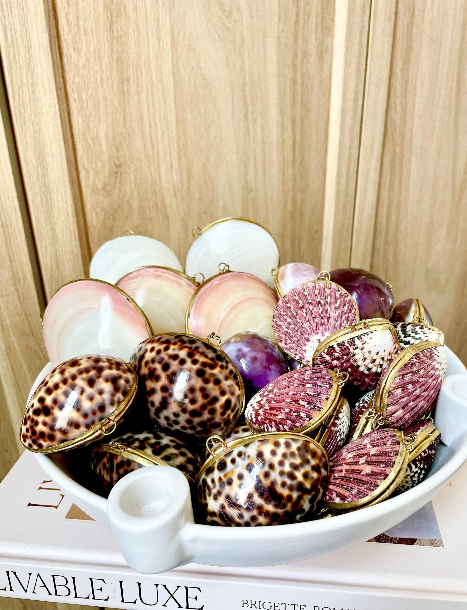Shell Coin Purse Coastal Gift Box: Cowrie, Clam, Scallop Seashells