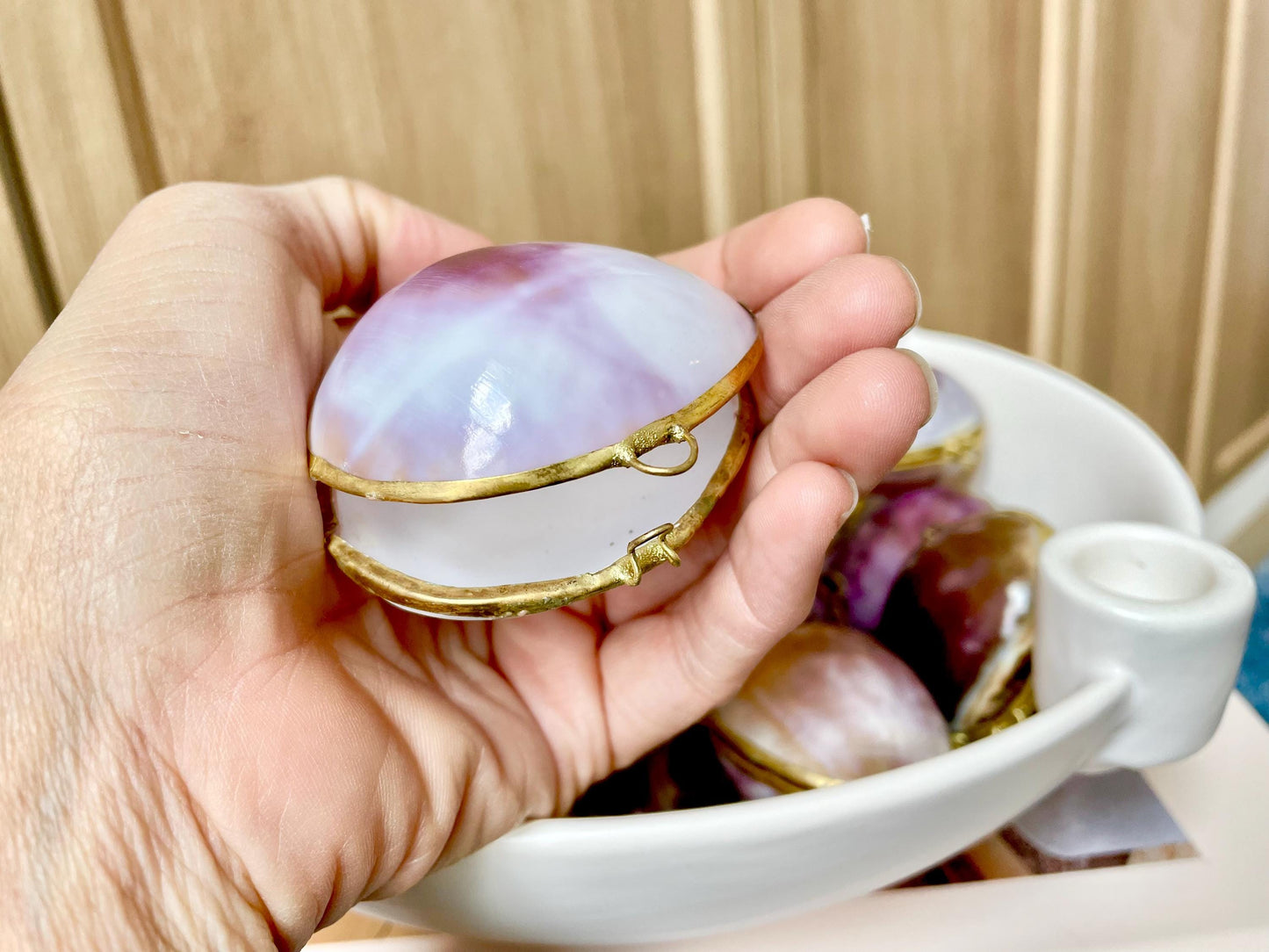 Shell Coin Purse Coastal Gift Box: Cowrie, Clam, Scallop Seashells