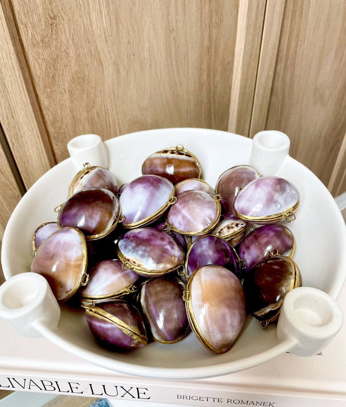 Shell Coin Purse Coastal Gift Box: Cowrie, Clam, Scallop Seashells