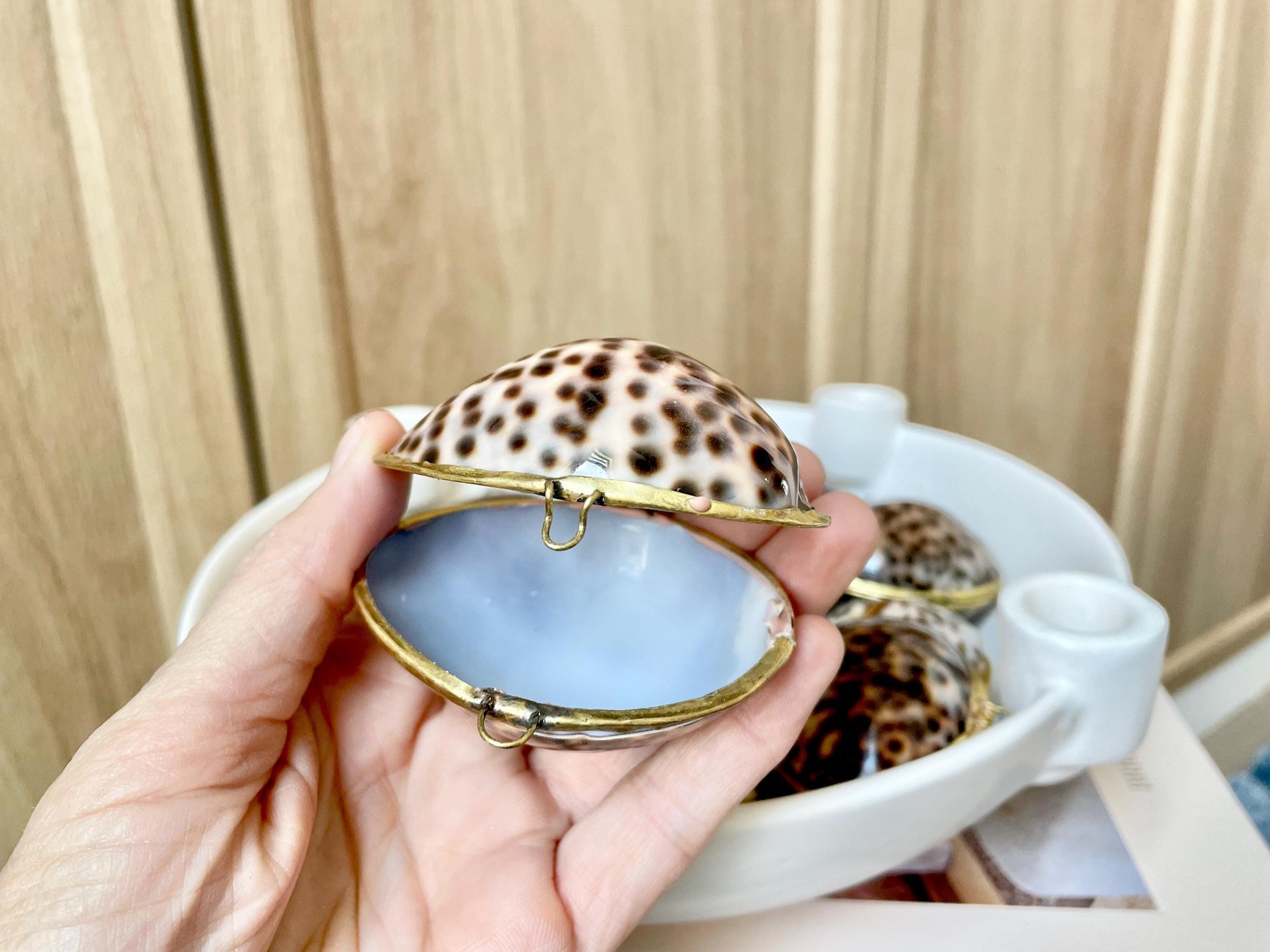 Shell Coin Purse Coastal Gift Box: Cowrie, Clam, Scallop Seashells