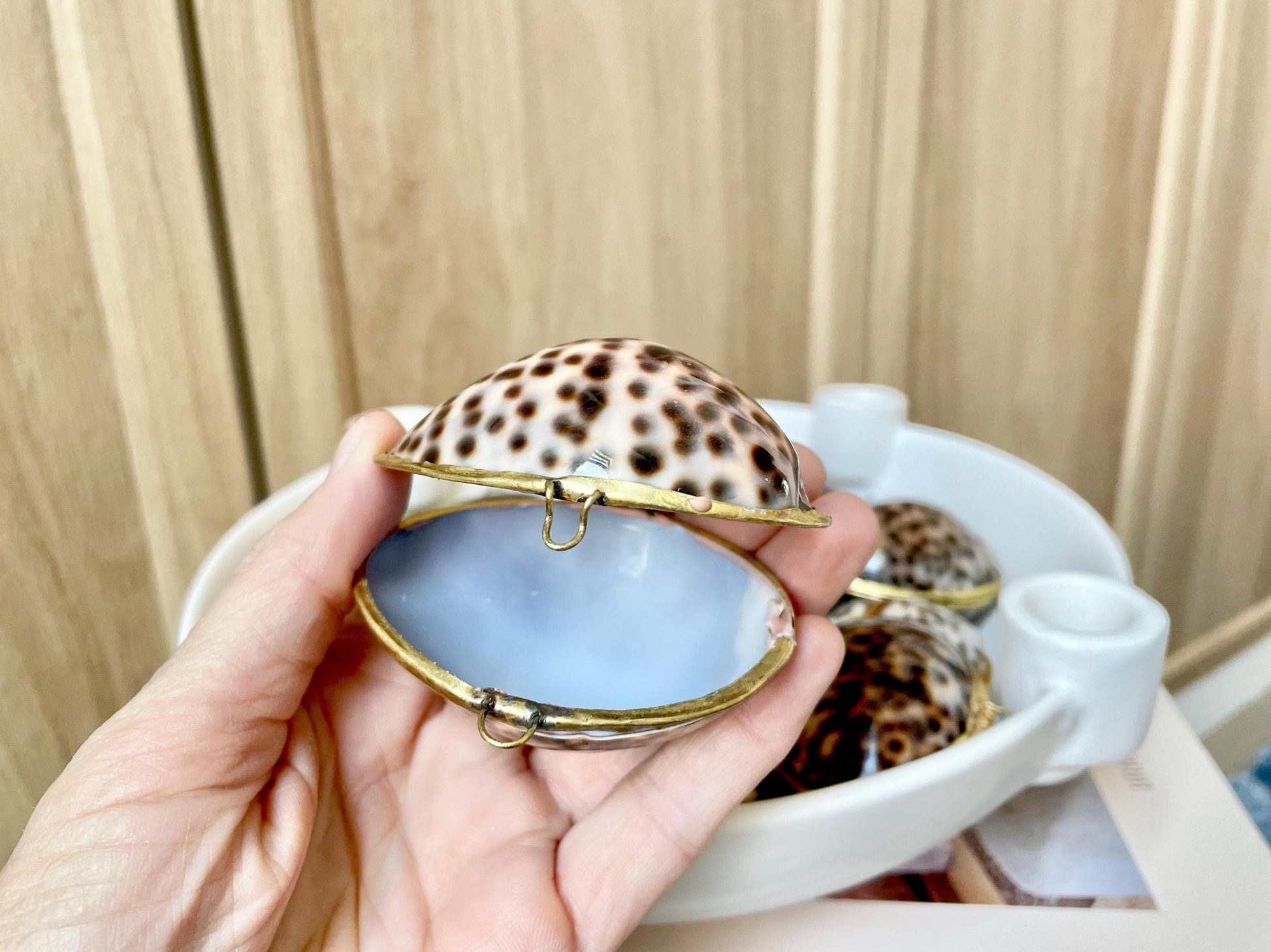 Shell Coin Purse Coastal Gift Box: Cowrie, Clam, Scallop Seashells