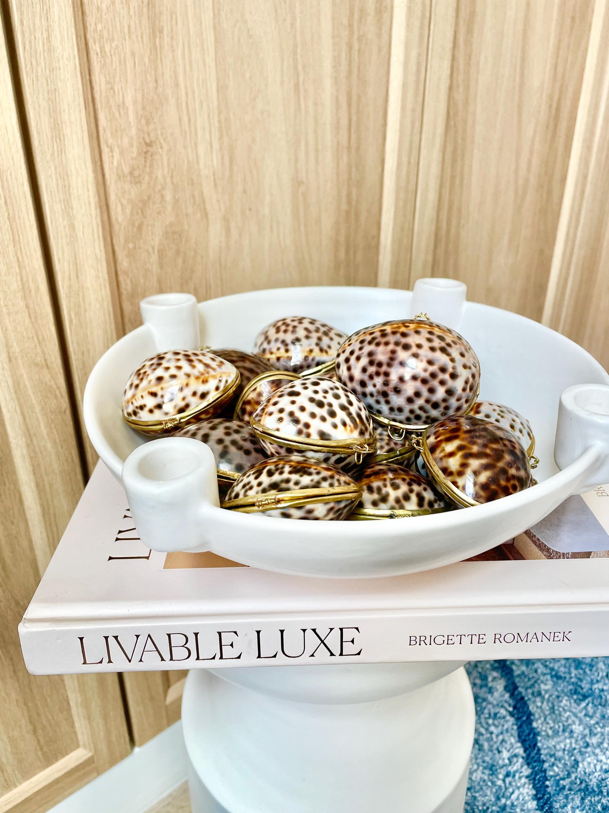Shell Coin Purse Coastal Gift Box: Cowrie, Clam, Scallop Seashells