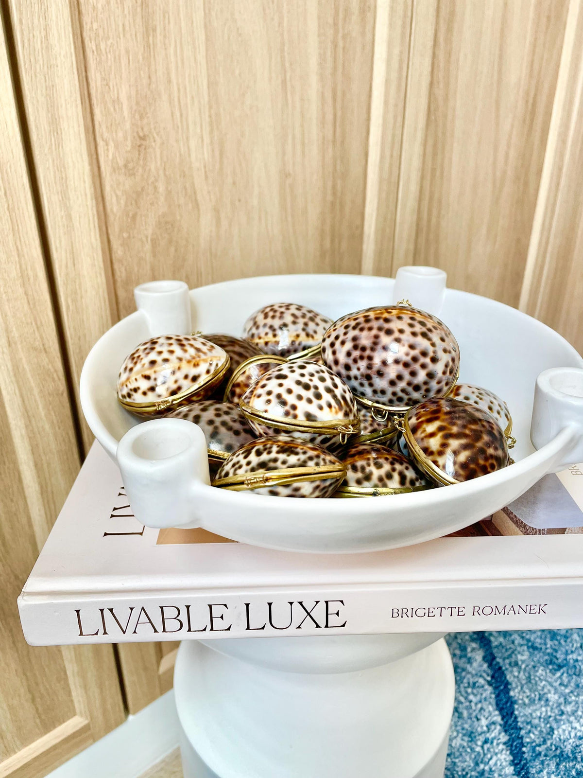 Shell Coin Purse Coastal Gift Box: Cowrie, Clam, Scallop Seashells
