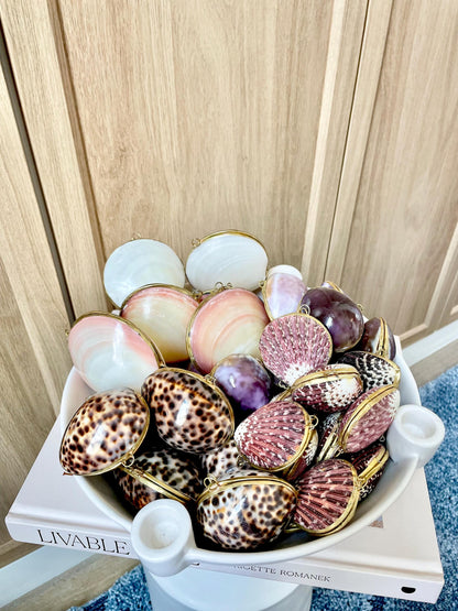 Shell Coin Purse Coastal Gift Box: Cowrie, Clam, Scallop Seashells