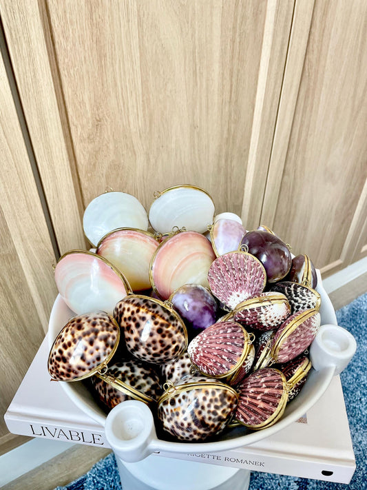 Shell Coin Purse Coastal Gift Box: Cowrie, Clam, Scallop Seashells
