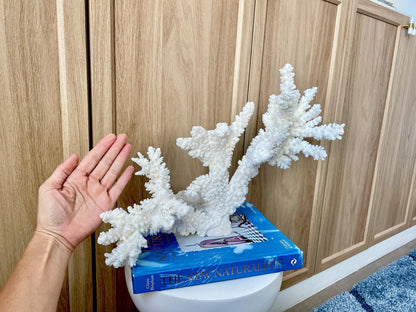 Branch Coral Fossil Specimen: 14.5" x 11.5"x 6" Coastal Beach House Décor