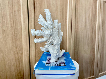Branch Coral Fossil Specimen: 14.5" x 11.5"x 6" Coastal Beach House Décor