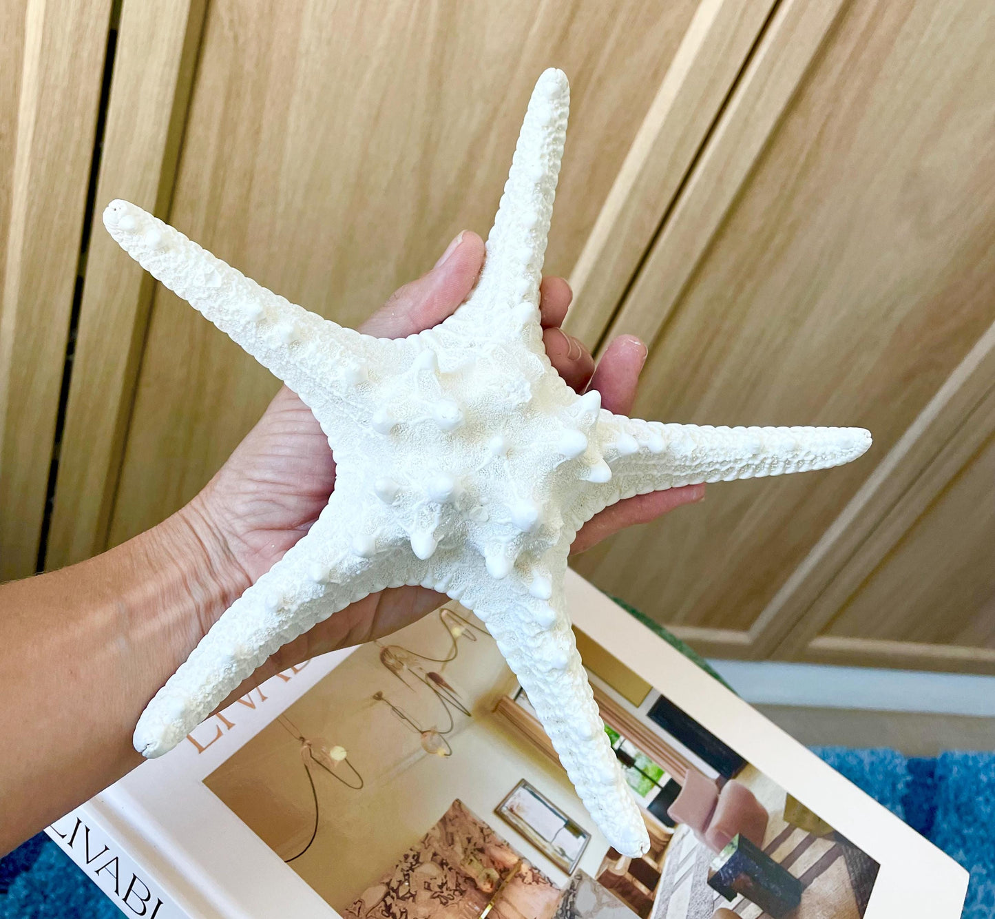 Knobby Starfish 1-10" *You Choose Size* White Crafts & Coastal Décor