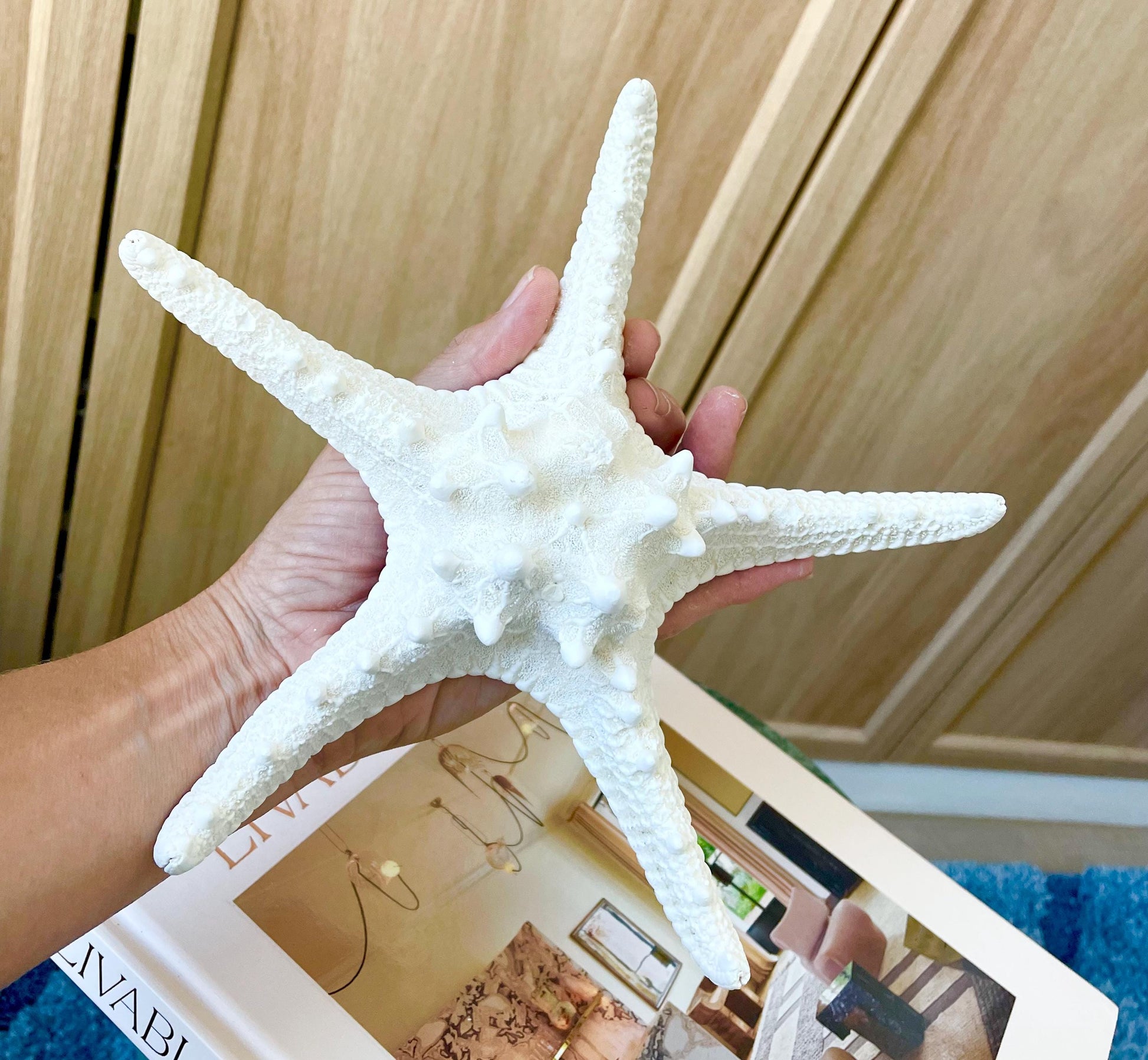 Knobby Starfish 1-10" *You Choose Size* White Crafts & Coastal Décor
