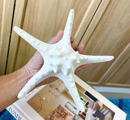 Knobby Starfish 1-10" *You Choose Size* White Crafts & Coastal Décor