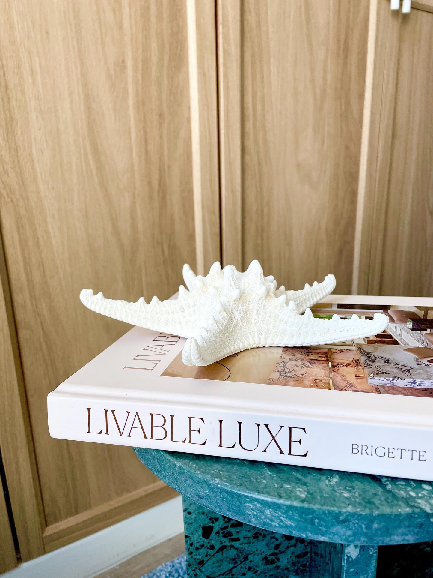 Knobby Starfish 1-10" *You Choose Size* White Crafts & Coastal Décor