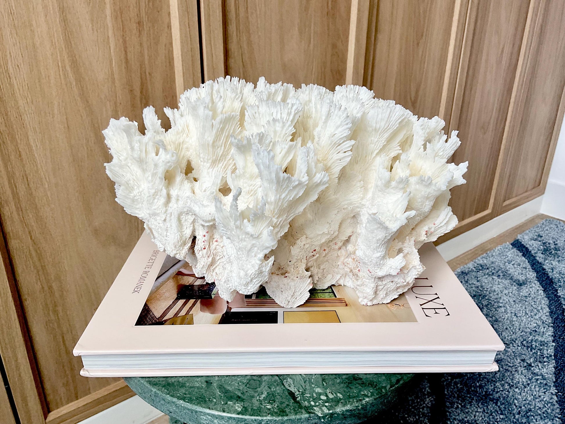 Natural Lettuce Coral Fossil: 11" x 11" x 7" Coastal Beach House White Décor