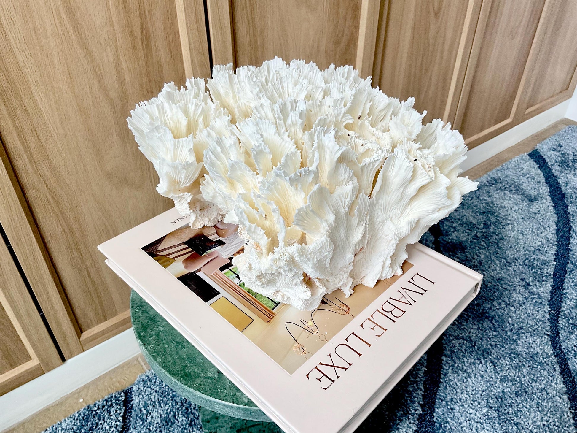 Natural Lettuce Coral Fossil: 11" x 10" x 7" Coastal Beach House White Décor