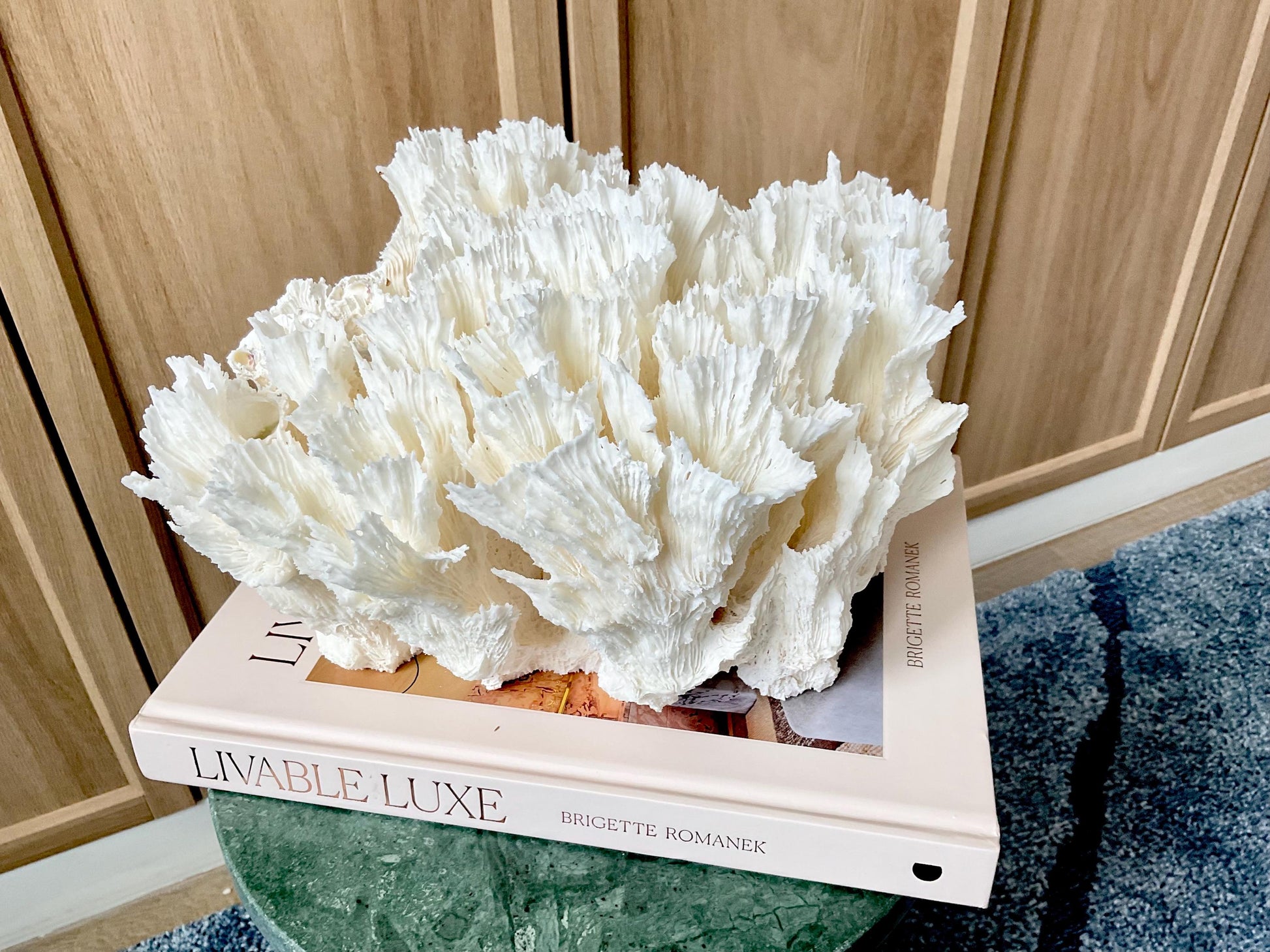 Natural Lettuce Coral Fossil: 11" x 10" x 7" Coastal Beach House White Décor