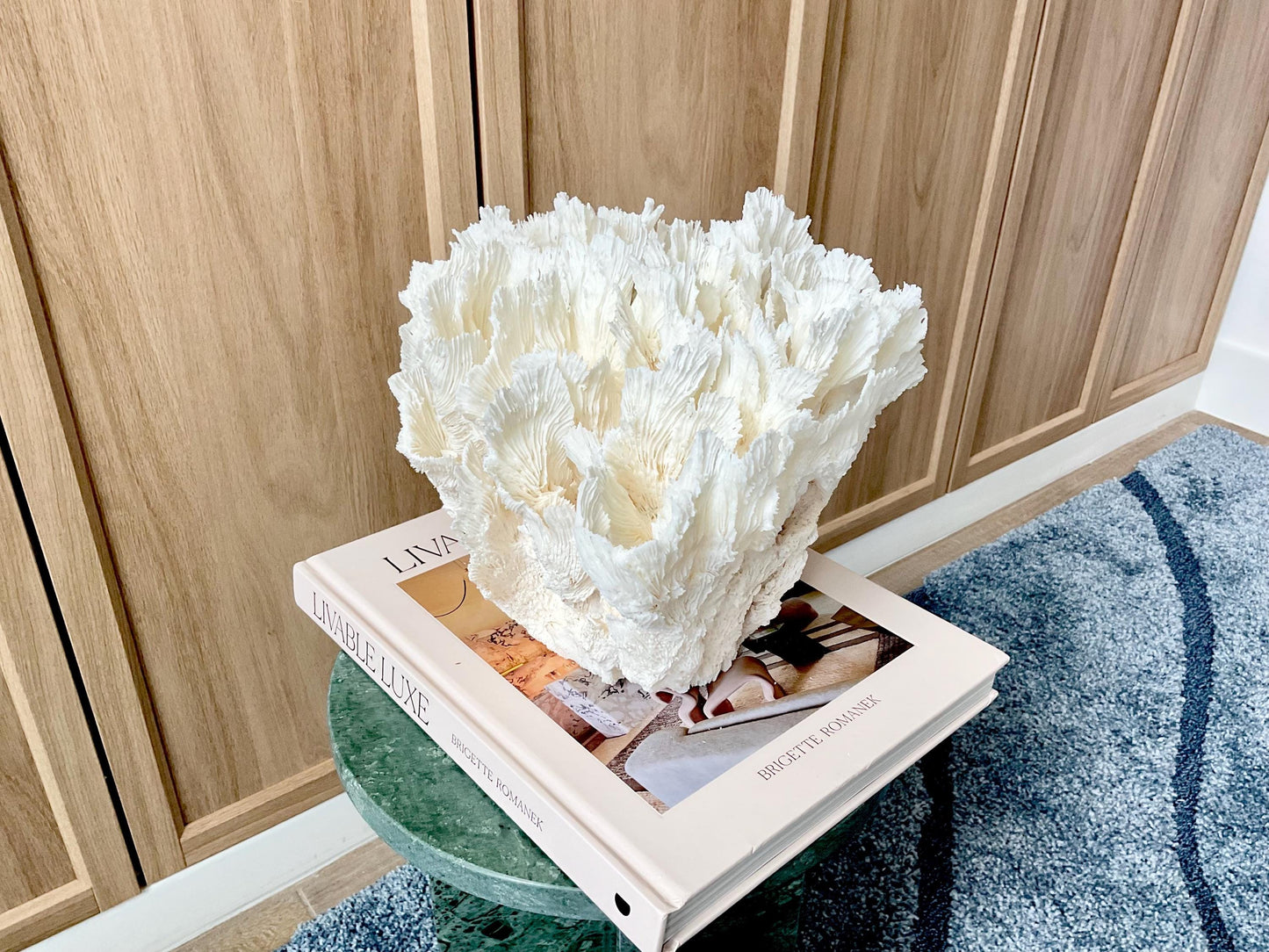 Natural Lettuce Coral Fossil: 11" x 8.5" x 8" Coastal Beach House White Décor