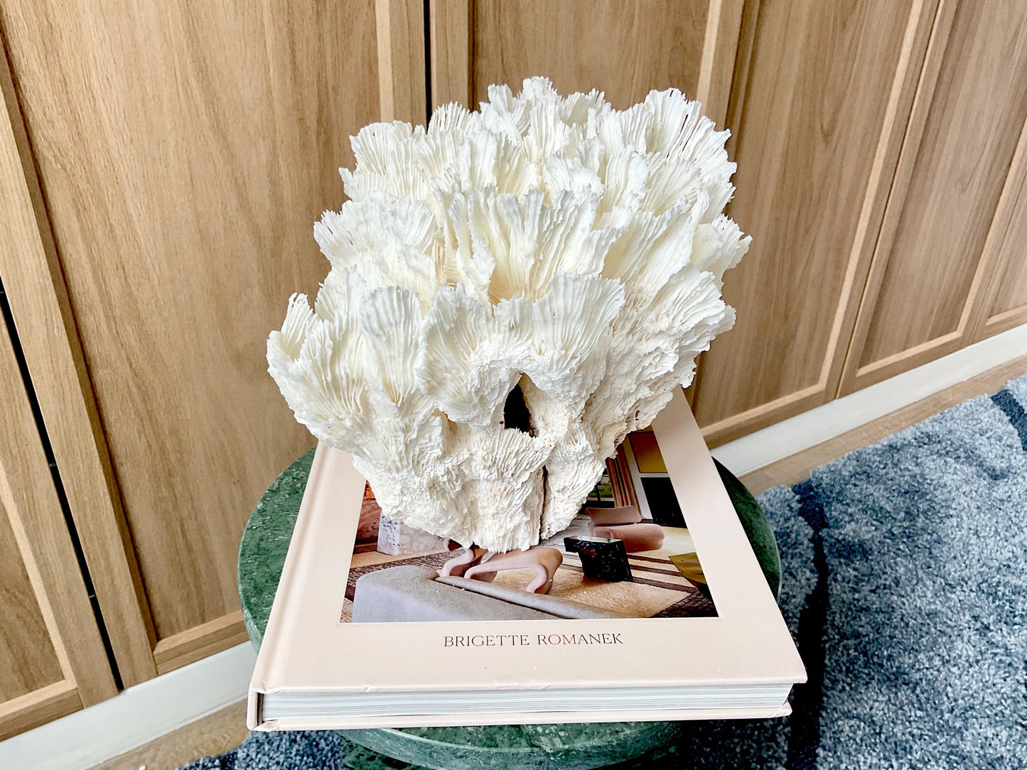 Natural Lettuce Coral Fossil: 11" x 8.5" x 8" Coastal Beach House White Décor