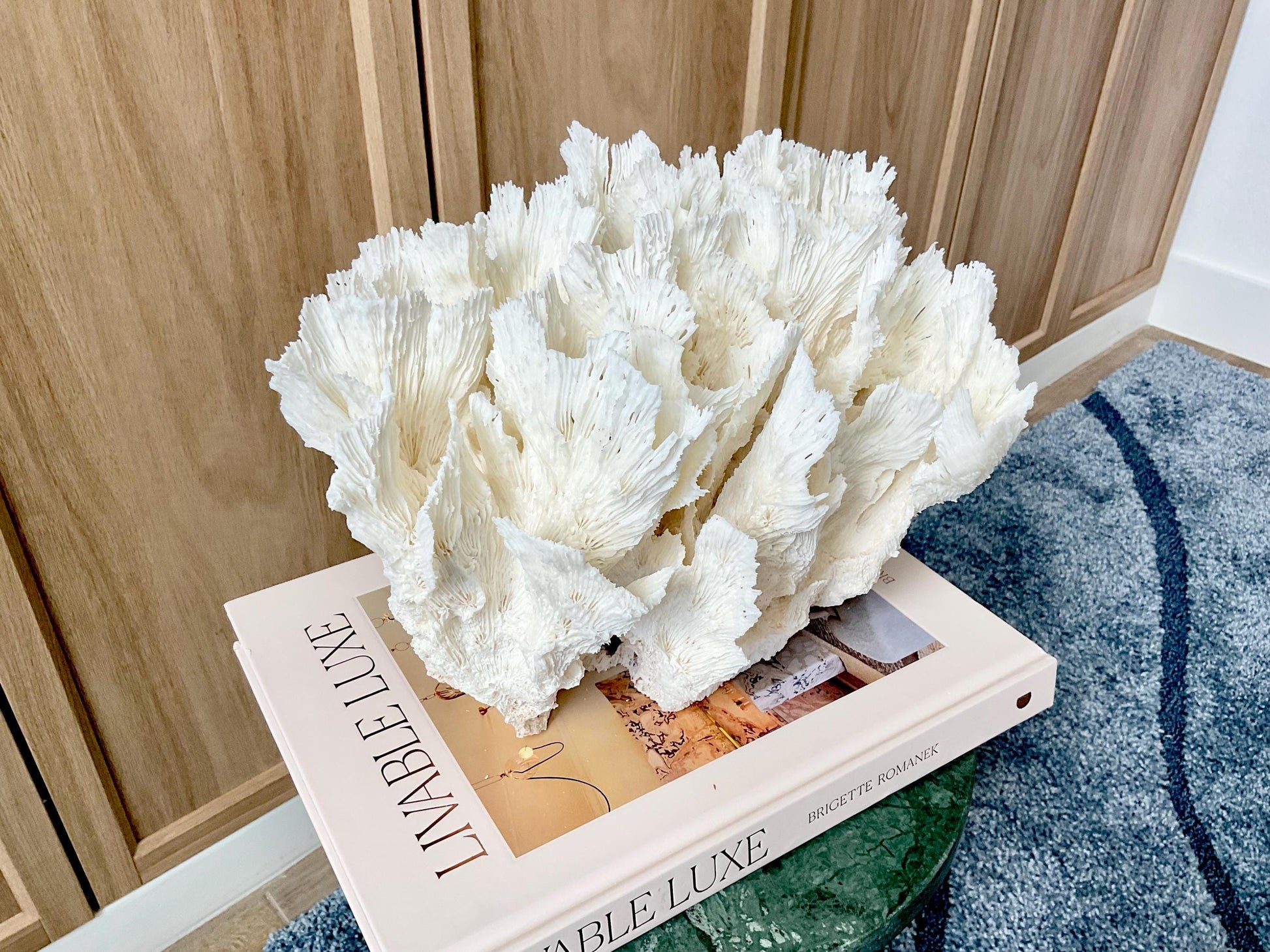 Natural Lettuce Coral Fossil: 11" x 8.5" x 8" Coastal Beach House White Décor