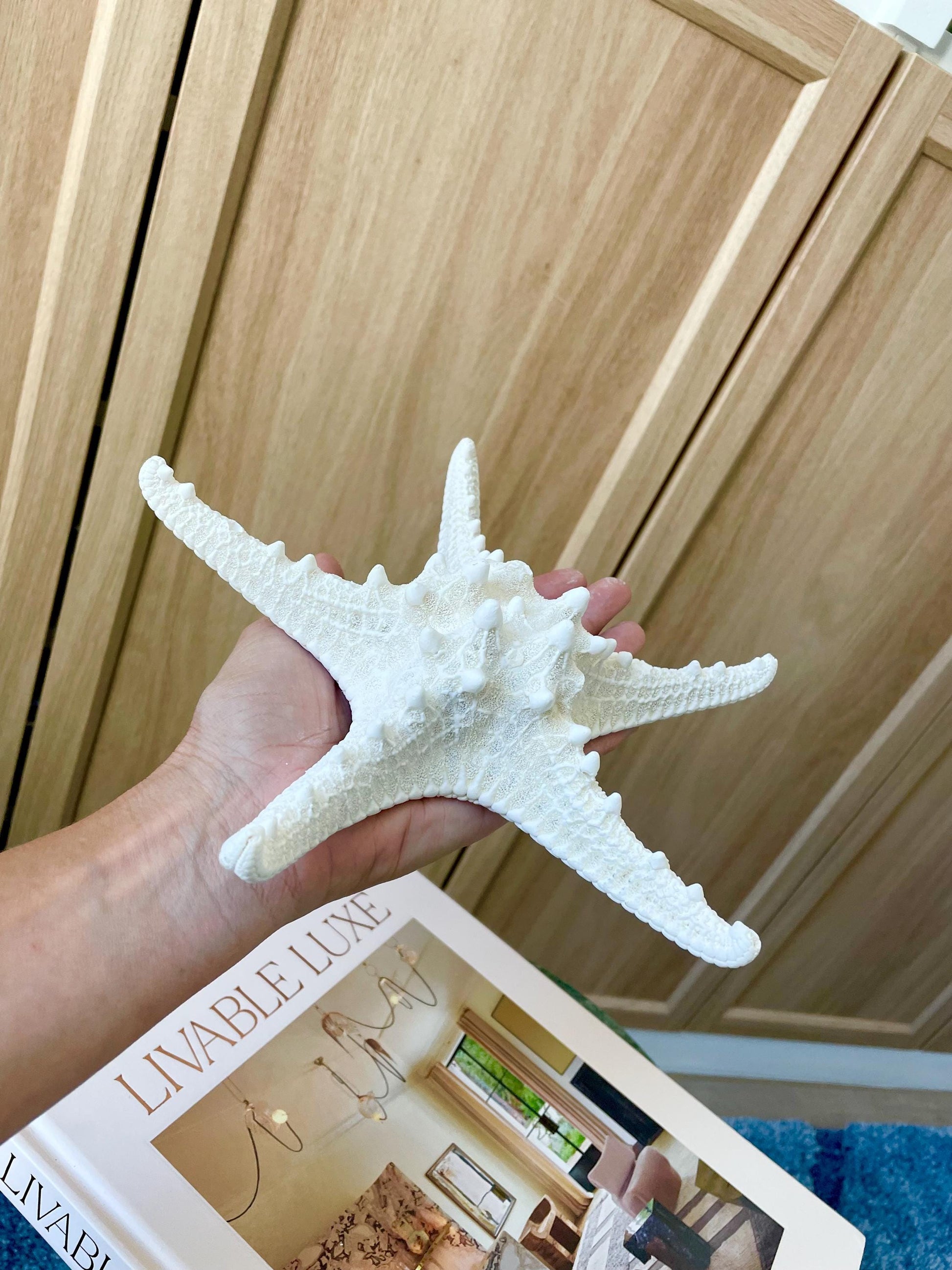 Knobby Starfish 1-10" *You Choose Size* White Crafts & Coastal Décor