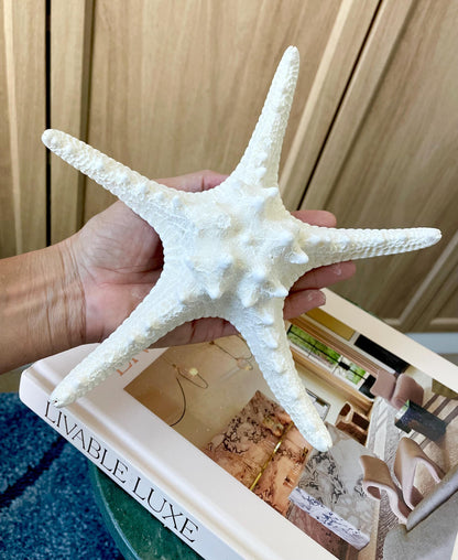 Knobby Starfish 1-10" *You Choose Size* White Crafts & Coastal Décor