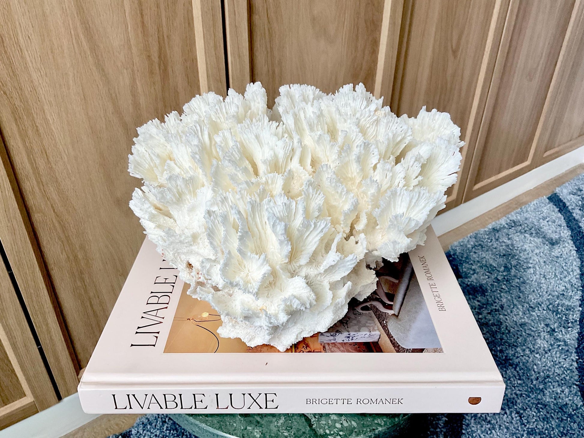 Natural Lettuce Coral Fossil: 11" x 11" x 7" Coastal Beach House White Décor