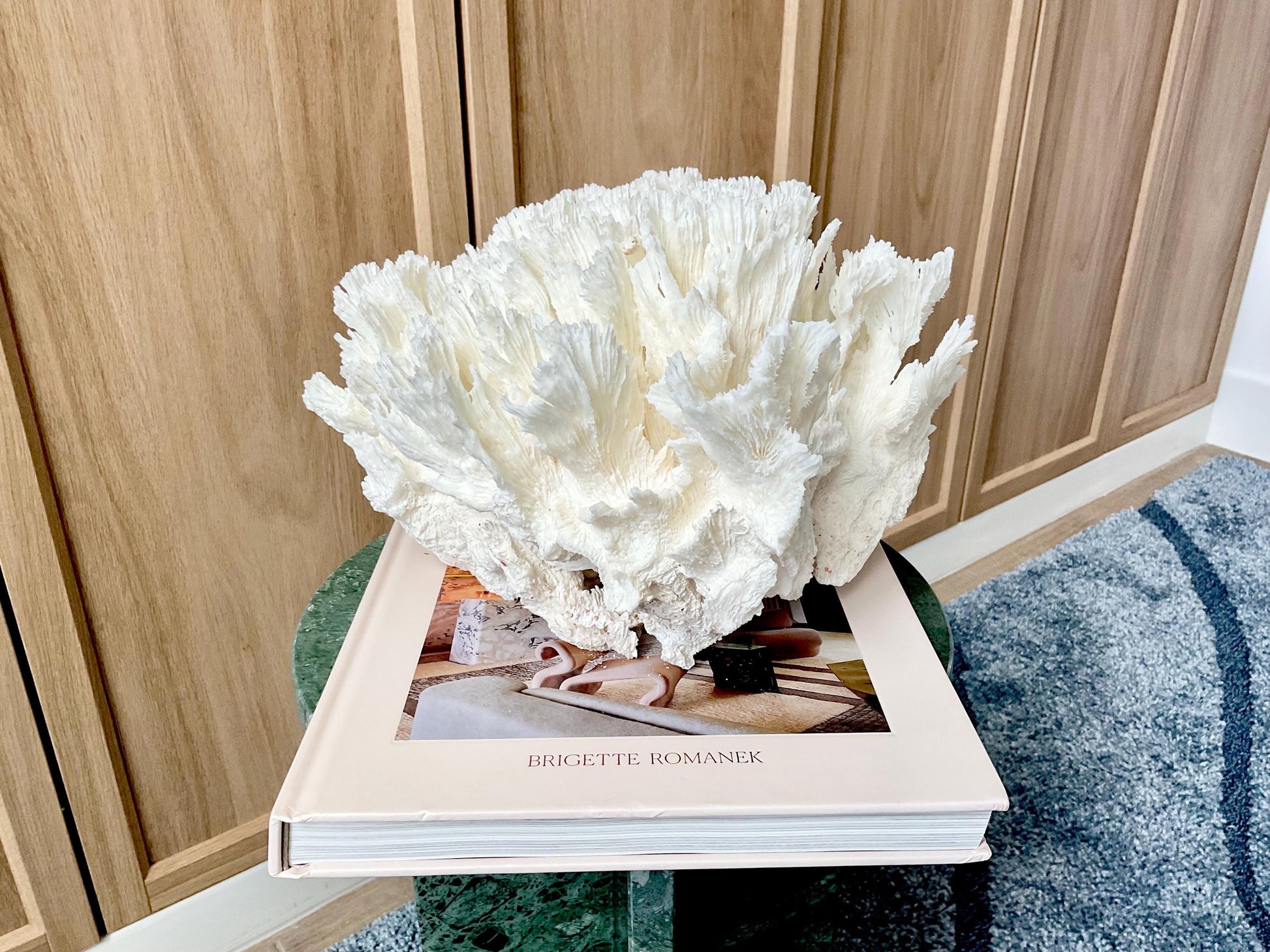 Natural Lettuce Coral Fossil: 11" x 11" x 7" Coastal Beach House White Décor