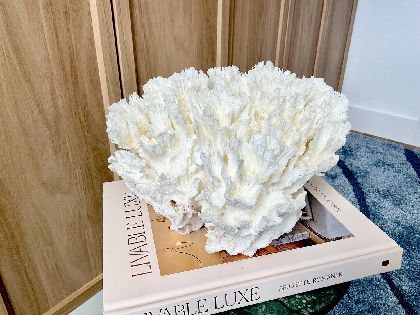 Natural Lettuce Coral Fossil: 11" x 11" x 7" Coastal Beach House White Décor
