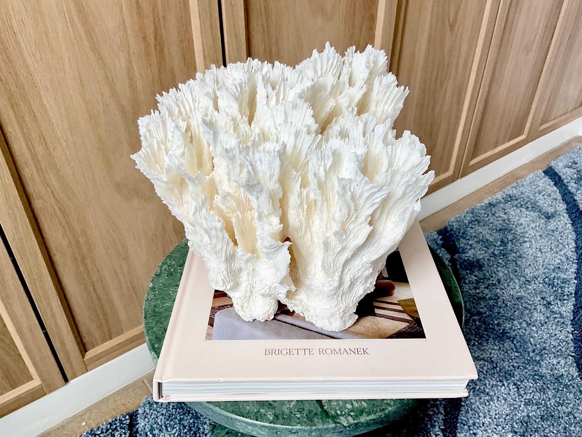 Natural Lettuce Coral Fossil: 11" x 10" x 7" Coastal Beach House White Décor