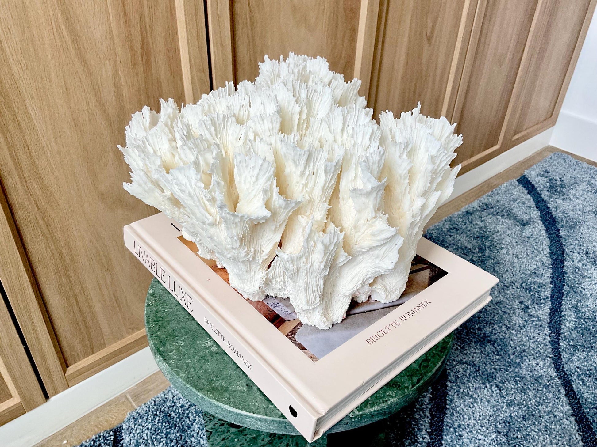 Natural Lettuce Coral Fossil: 11" x 10" x 7" Coastal Beach House White Décor