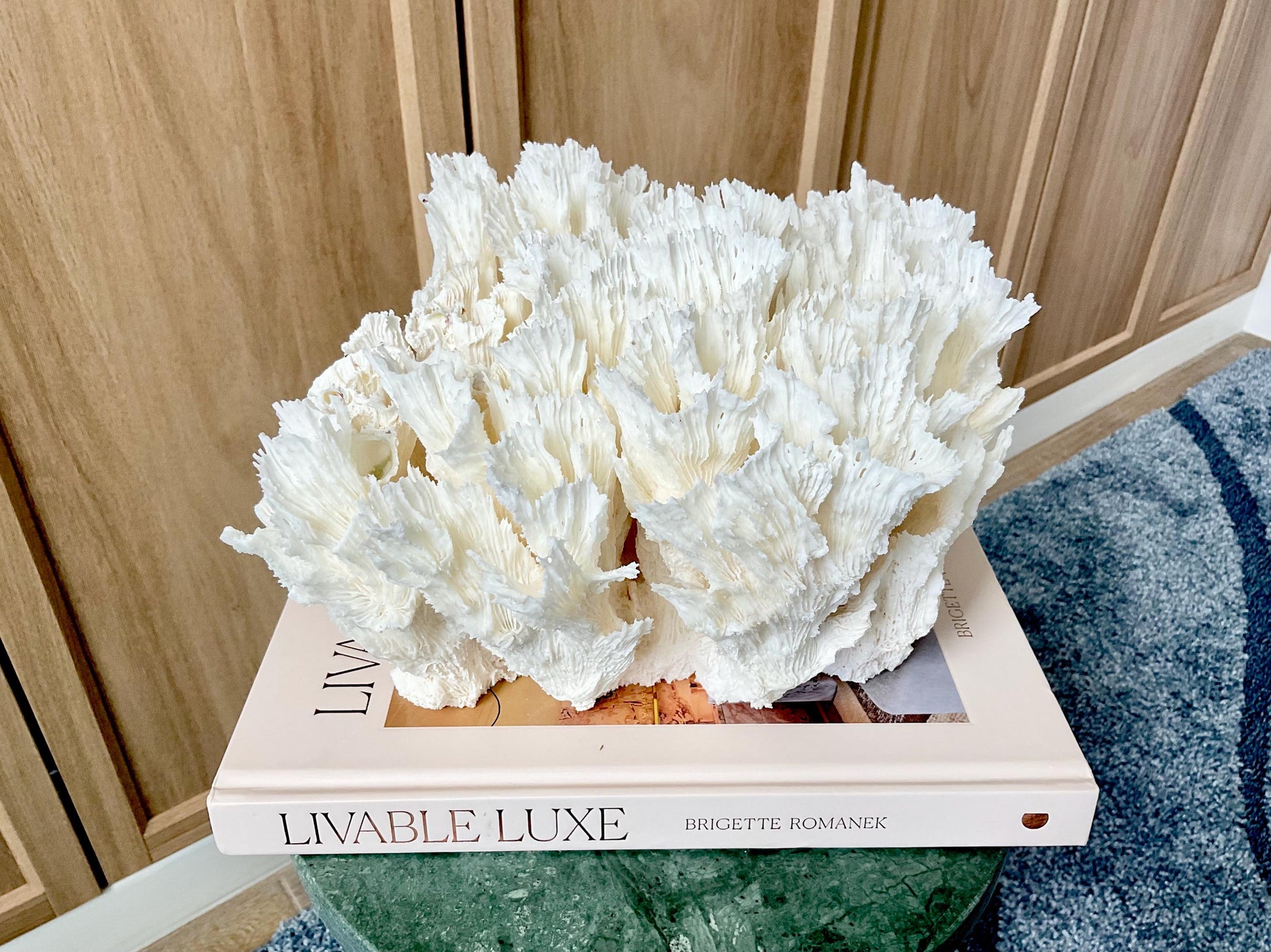 Natural Lettuce Coral Fossil: 11" x 10" x 7" Coastal Beach House White Décor