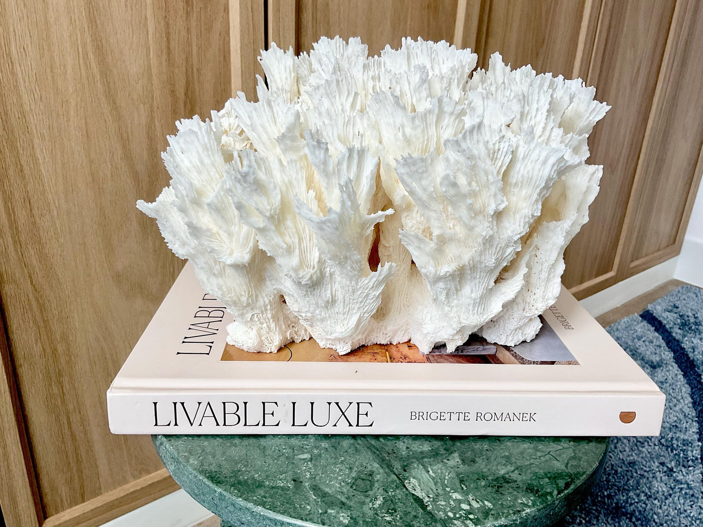 Natural Lettuce Coral Fossil: 11" x 10" x 7" Coastal Beach House White Décor