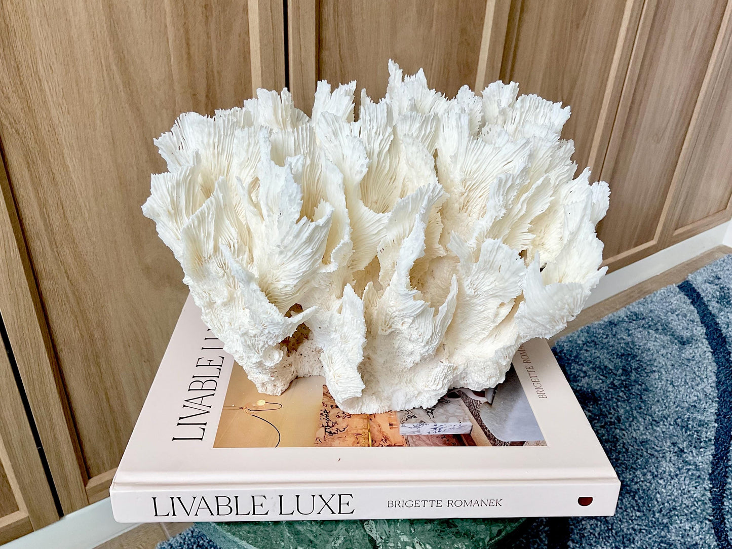 Natural Lettuce Coral Fossil: 11" x 8.5" x 8" Coastal Beach House White Décor